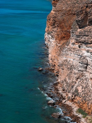 Cape Kaliakra, Bulgaria Birding Tour, Bulgaria Nature Tour, Romania Birding Tour, Romania Nature Tour, Bulgaria and Romania Birding Tour, Naturalist Journeys