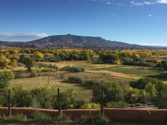 New Mexico Nature tour, New Mexico Wildlife Tour, New Mexico Birding Tour, Naturalist Journeys