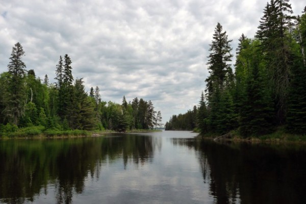 Lake Superior, Minnesota Boundary Waters, Naturalist Journeys 