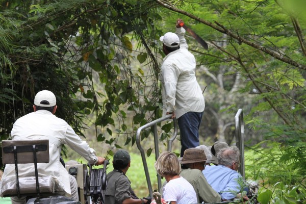 Amazon River Cruise, Amazon Basin, Peru, Naturalist Journeys