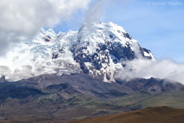 Antisana Volcano, Ecuador, Ecuador Bird Photography Tour, Ecuador Nature Photography Tour, Bird Photography Tour, Nature Photography Tour, Naturalist Journeys