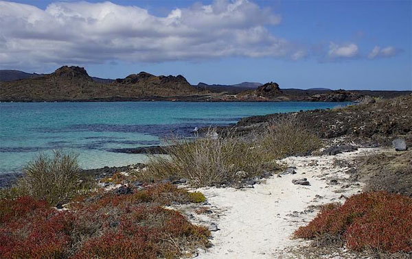 Galapagos Nature Tour, Galapagos, Galapagos Cruise, Galapagos Nature Cruise, Naturalist Journeys