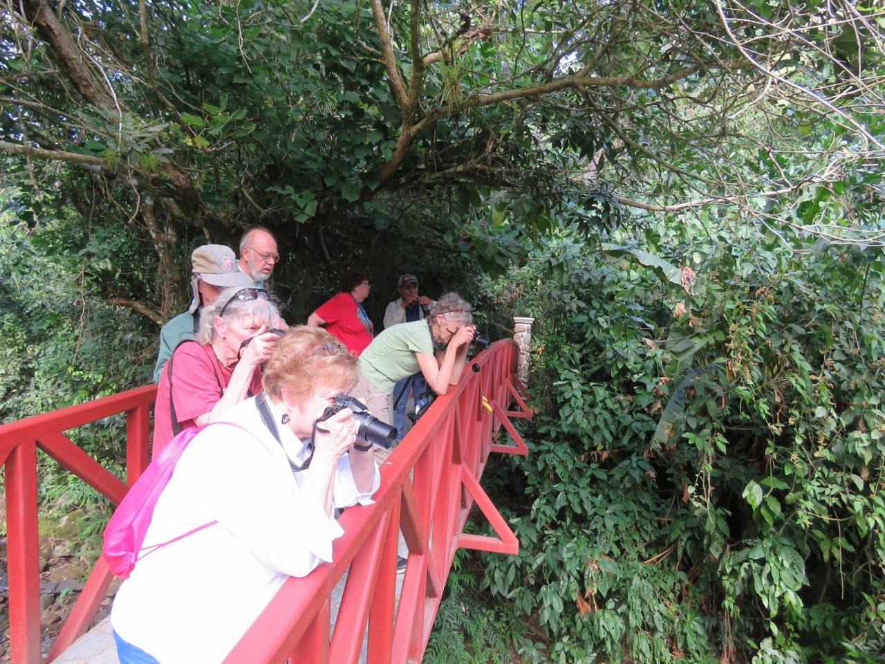 Panama Birding & Wildlife Nature Tour Naturalist Journeys