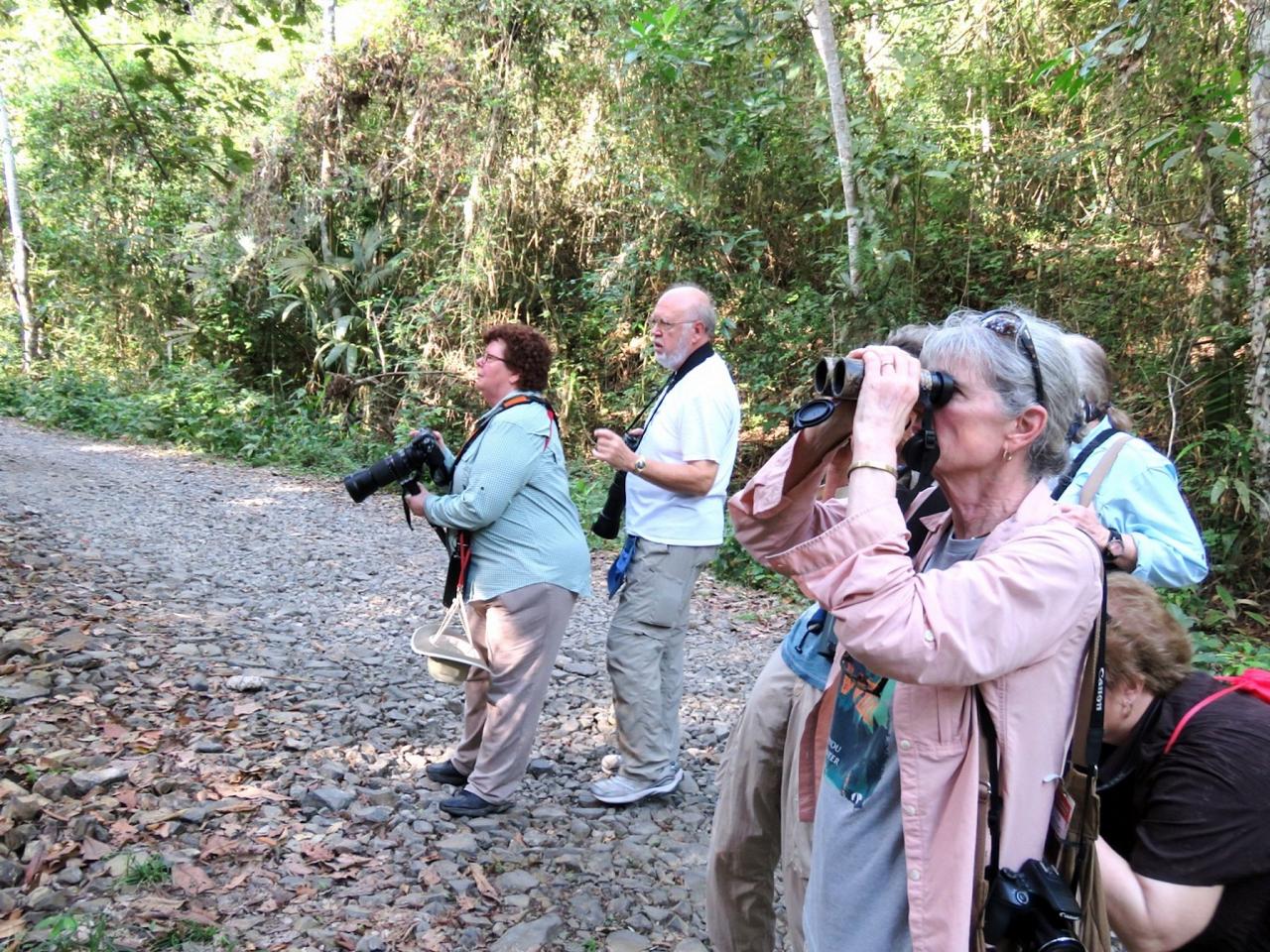 Panama Birding & Wildlife Nature Tour Naturalist Journeys