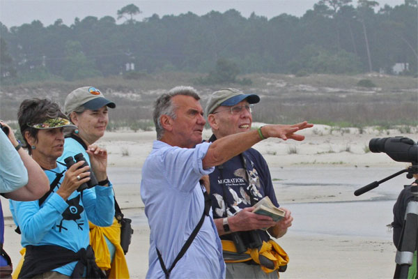 Birding Alabama, Dauphin Island, Spring Migration Tour, Alabama Birding Tour, Dauphin Island Birding Tour, Migration Tour, Naturalist Journeys 