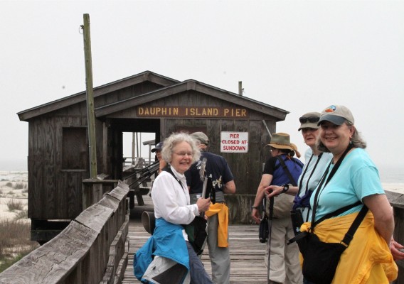 Birding Alabama, Dauphin Island, Spring Migration Tour, Alabama Birding Tour, Dauphin Island Birding Tour, Migration Tour, Naturalist Journeys 