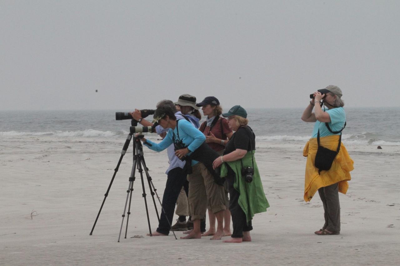 Birding group, Alabama, Dauphin Island, Spring Migration Tour, Alabama Birding Tour, Dauphin Island Birding Tour, Migration Tour, Naturalist Journeys