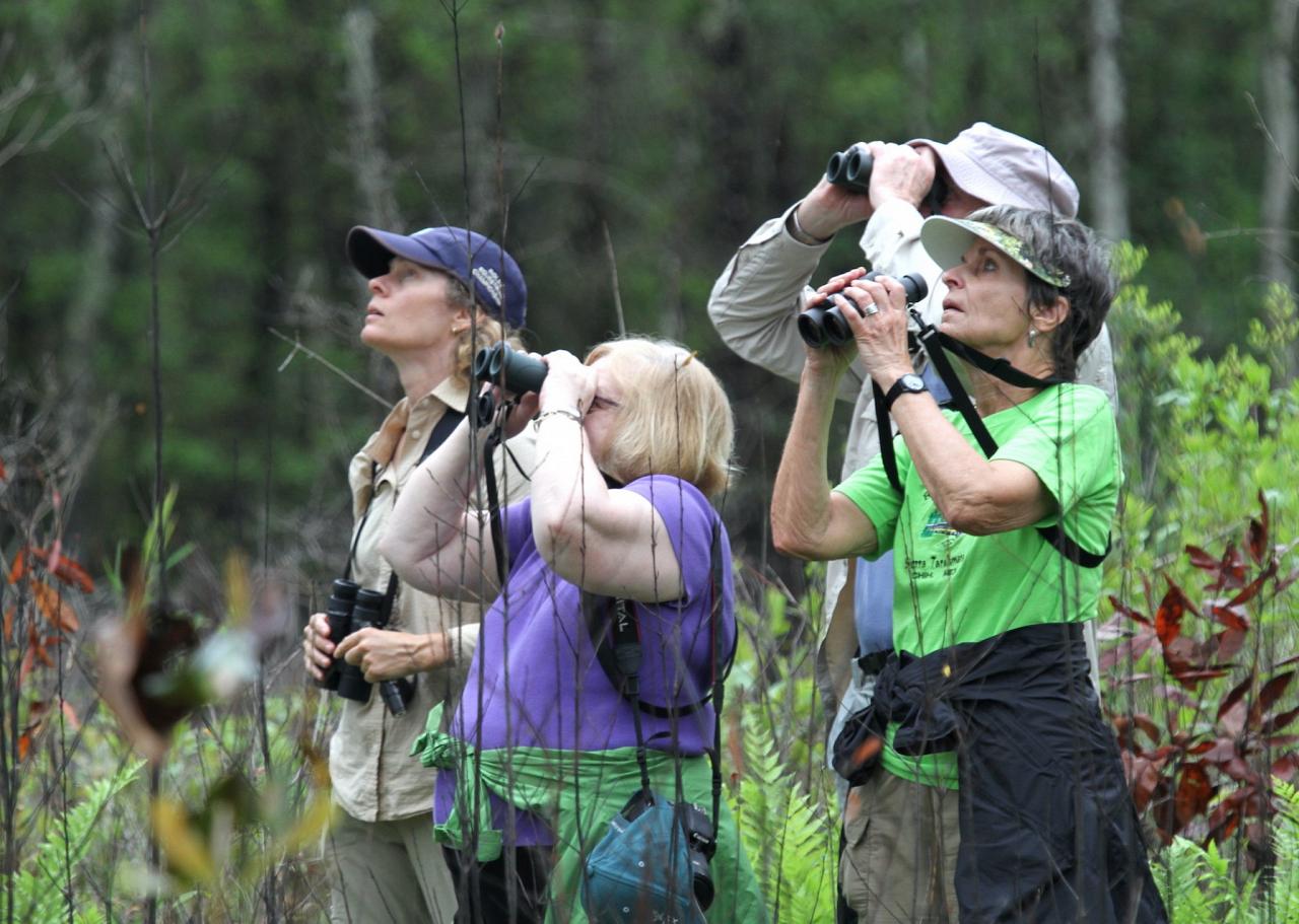 Birding Group, Alabama, Dauphin Island, Spring Migration Tour, Alabama Birding Tour, Dauphin Island Birding Tour, Migration Tour, Naturalist Journeys