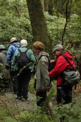 Hiking New Zealand, New Zealand, New Zealand Nature Tour, Naturalist Journeys 