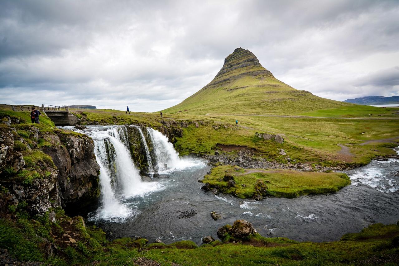 Iceland, Iceland Birding Tour, Iceland Nature Tour, Iceland Wildlife Tour, Naturalist Journeys