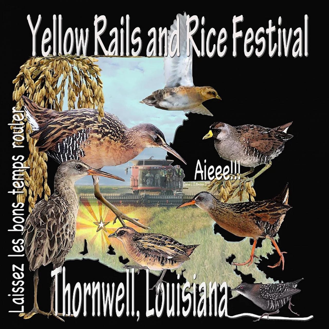 YRARF, Louisiana Birding Tour, Louisiana Birding, Louisiana Rail tours, Louisiana Birding Festival, Naturalist Journeys, Louisiana Nature