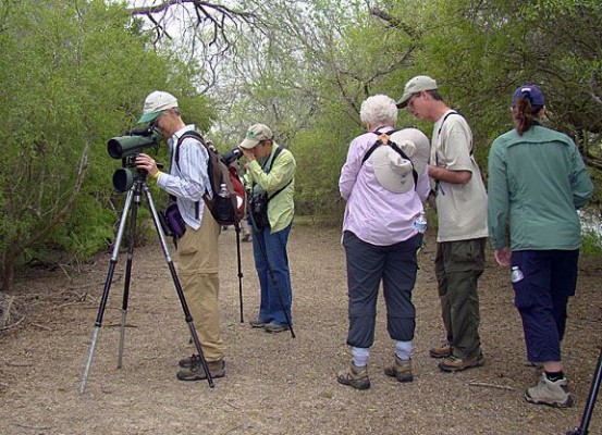 Estero Llano Wildlife Refuge, South Texas, South Texas Nature Tour, South Texas Birding Tour, Naturalist Journeys