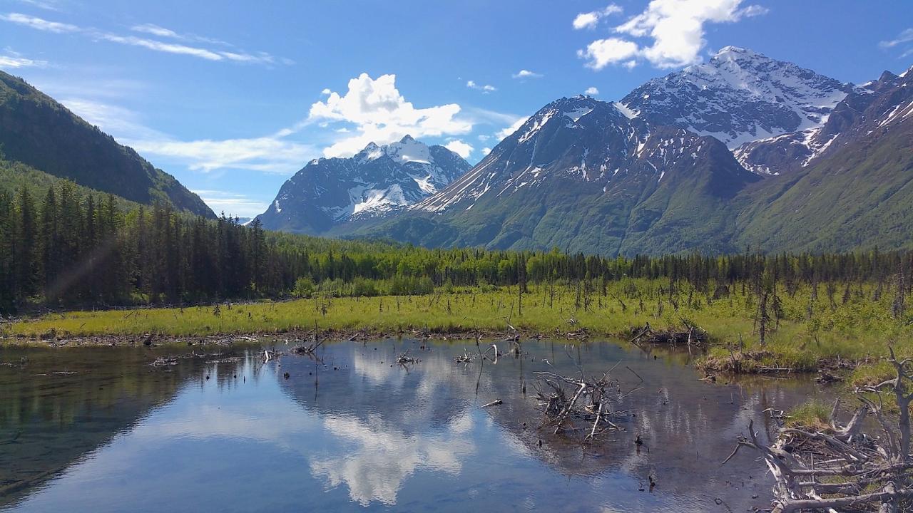 Eagle River, Alaska, Alaska Nature Tour, Alaska Birding Tour, Alaska Wildlife Tour, Naturalist Journeys