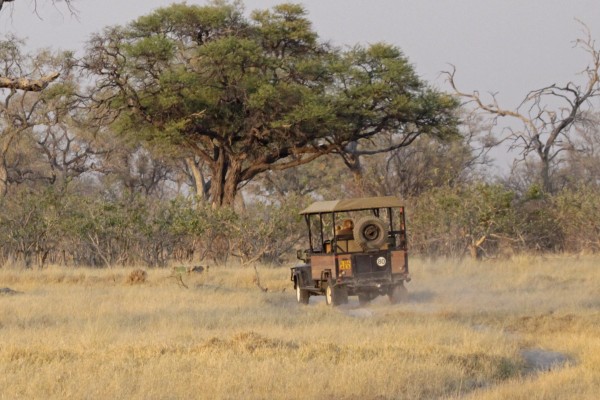 On Safari, Okavango Delta, Botswana, African Safari, Botswana Safari, Naturalist Journeys 