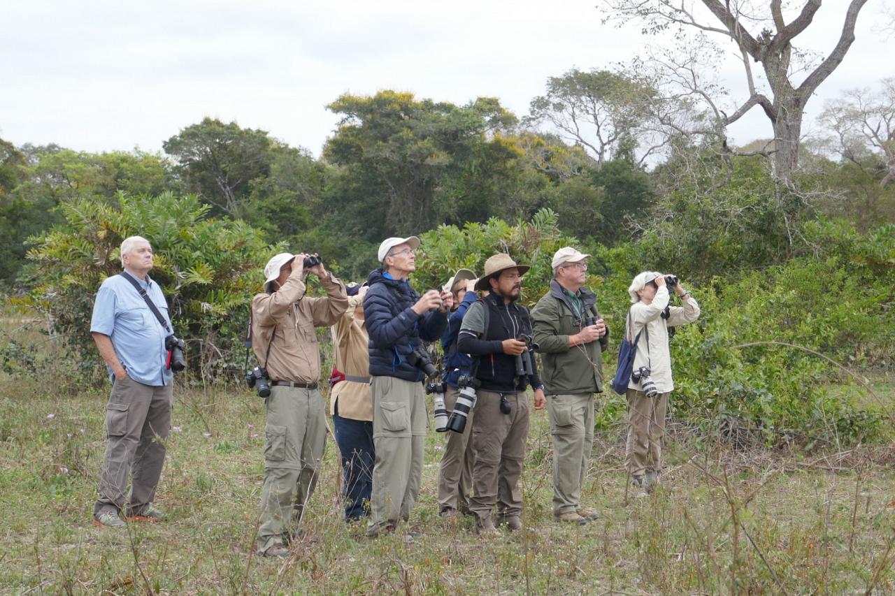 Brazil, Pantanal, Brazil Wildlife Tour, Pantanal Wildlife Tour, Brazil Nature Tour, Pantanal Nature Tour, Naturalist Journeys