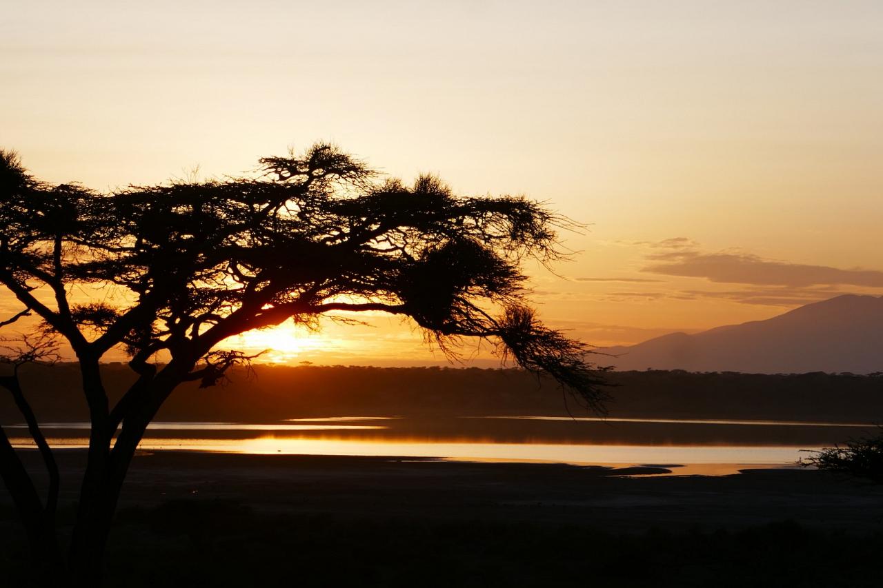 Ndutu, Kenya, Kenya Birding Safari, Kenya Wildlife Safari, Kenya Nature Tour, Naturalist Journeys 