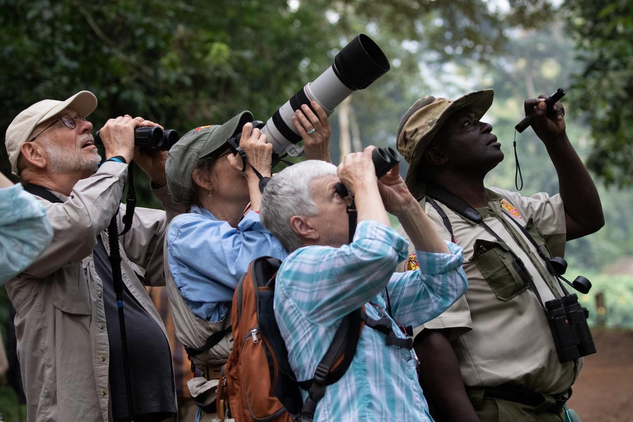 Uganda Nature Tour, Uganda Birding Tour, Uganda Safari, Uganda Gorilla Tour, Naturalist Journeys