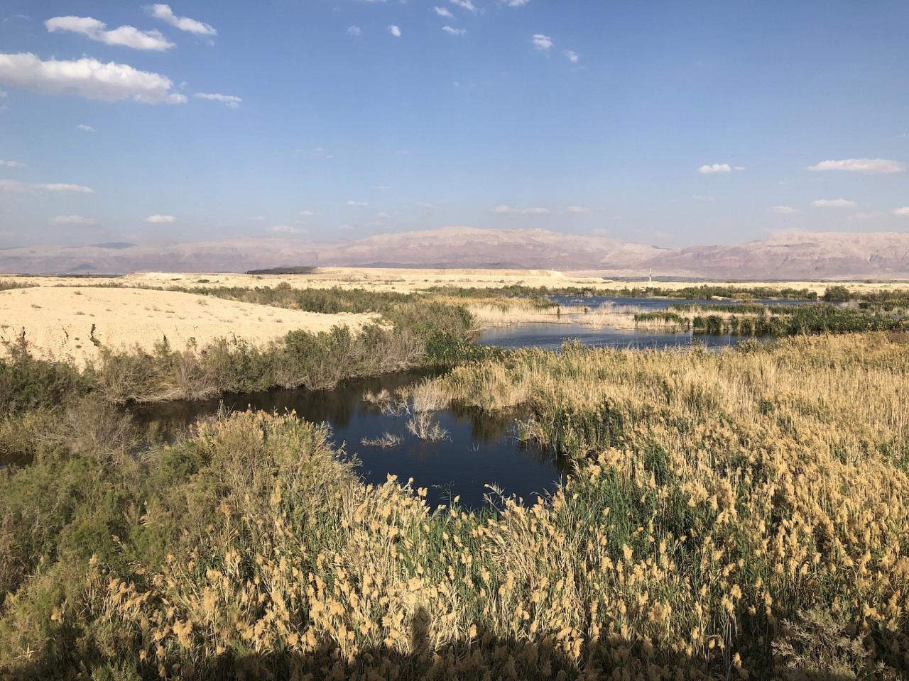 Southern Dead Sea Pools, Israel Birding Tour, Israel Nature Tour, Israel, Naturalist Journeys, Middle East Birding