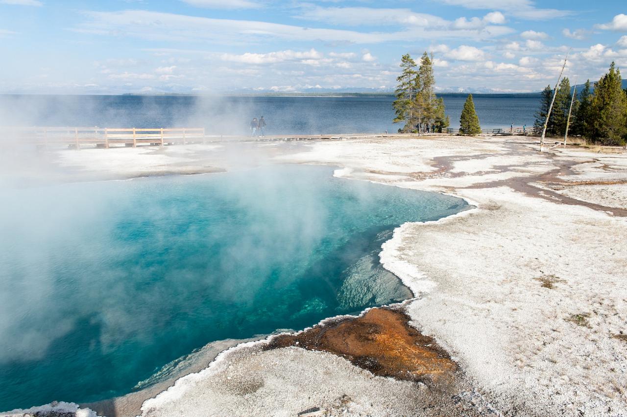 West Thumb Thermals, Yellowstone National Park, Nature Tour, Wildlife Tour, National Park, Naturalist Journeys 