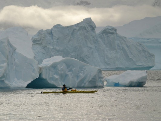 Antarctic Kayaking, Antarctica, South Georgia Island, Falkland Islands, Antarctic Nature Cruise, Antarctic Cruise, Naturalist Journeys