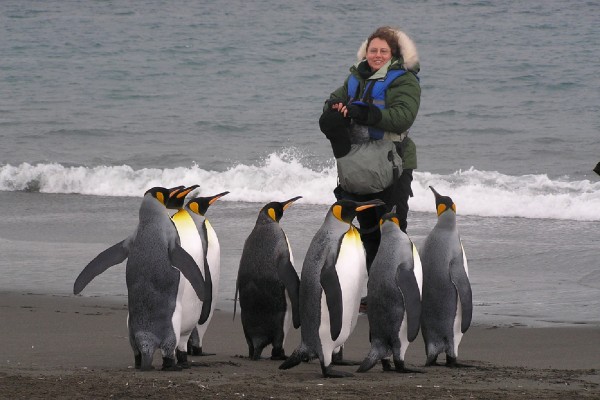 King Penguins, Antarctica, South Georgia Island, Falkland Islands, Antarctic Nature Cruise, Antarctic Cruise, Naturalist Journeys