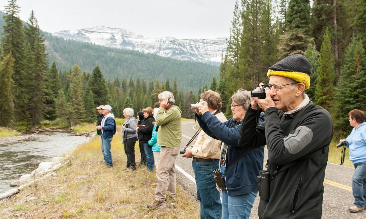 Group birding, Yellowstone National Park, Nature Tour, Wildlife Tour, National Park, Naturalist Journeys 