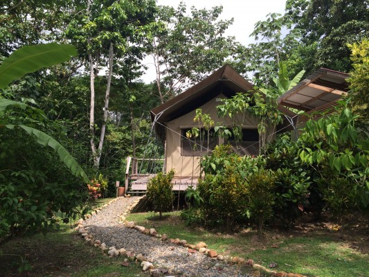 Canopy Camp Darien, Panama, Darien, Panama Birding Tour, Panama Nature Tour, Naturalist Journeys