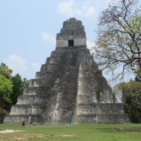 Tikal, Tikal, Guatemala, Guatemala Nature Tour, Guatemala Birding Tour, Birding Tikal, Naturalist Journeys