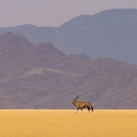 Namibia, Naturalist Journeys 