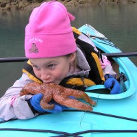 Sea Star, Glacier Bay, Alaska, Naturalist Journeys 