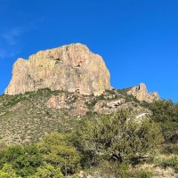 Big Bend National Park, Texas, Naturalist Journeys 