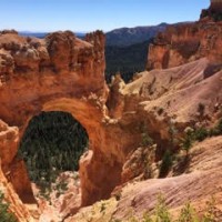 Bryce Canyon, Natural Bridge, National Parks, Southwest National Parks, Utah, Naturalist Journeys, Utah Birding Tour